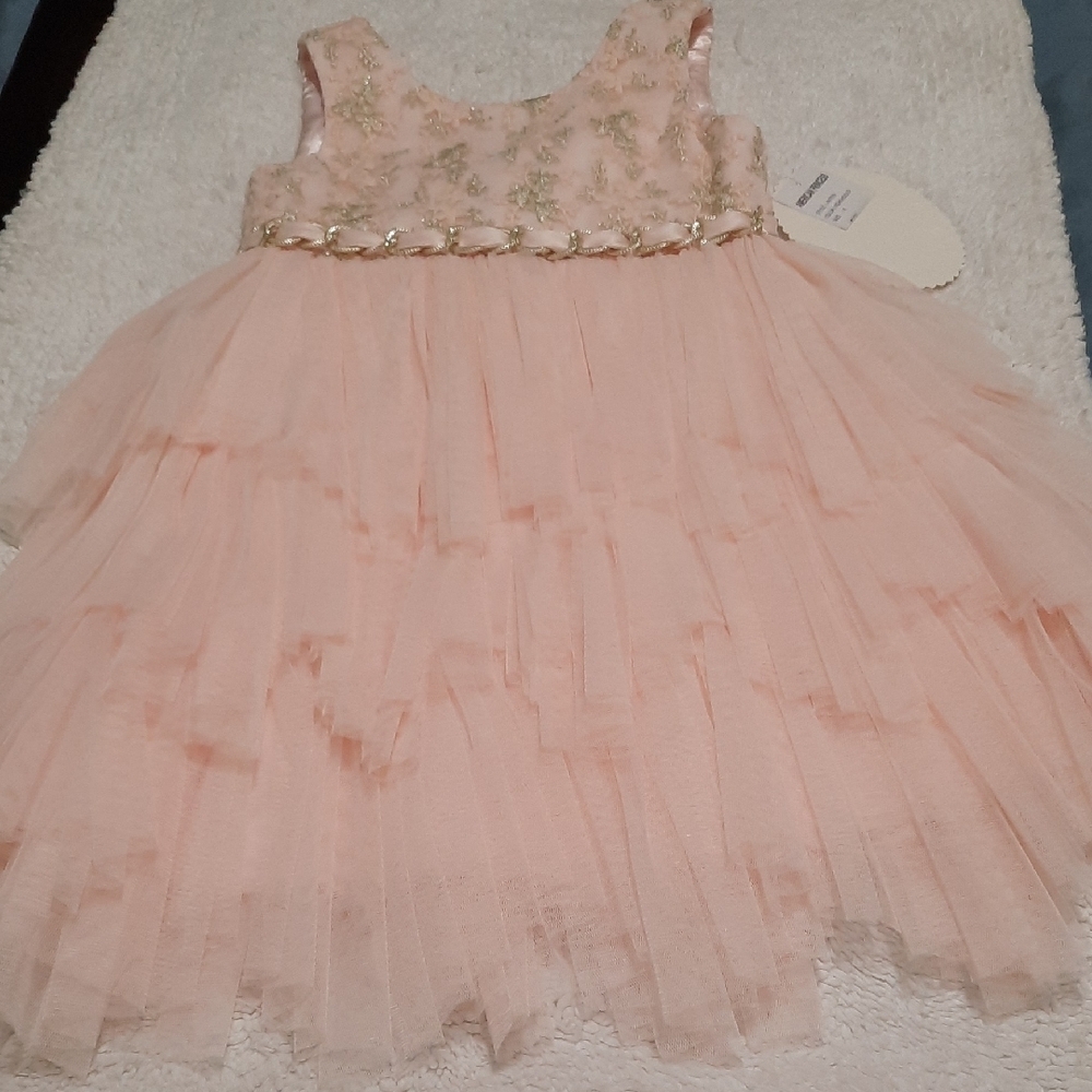 American Princess Blush Tulle Dress with Gold Accents
